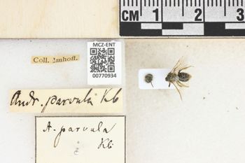 Media type: image;   Entomology 770934 Aspect: Labels